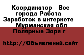 ONLINE Координатор - Все города Работа » Заработок в интернете   . Мурманская обл.,Полярные Зори г.